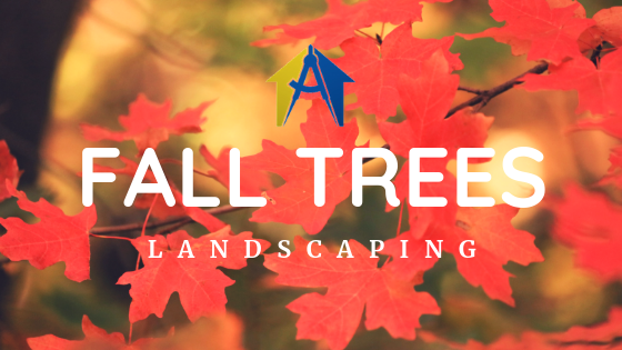 Best Fall Trees for GA Landscaping
