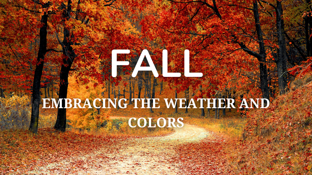 Fall Activities